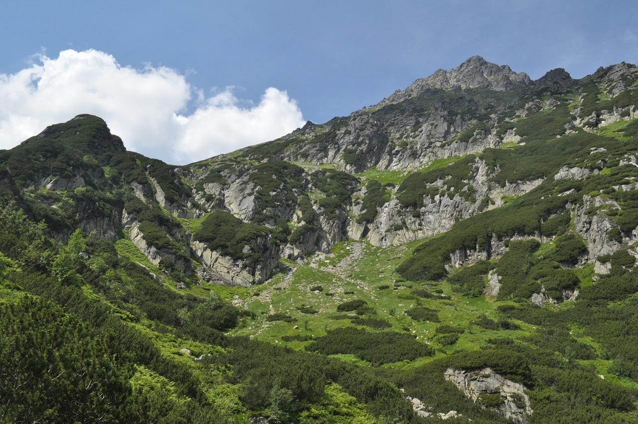 Nowy sondaż ujawnia zaskakujące opinie Polaków na temat przyszłości politycznej