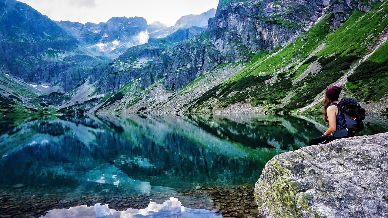 Zapomniany przepis na zdrowie. Odkryj, jak czarny bez wspiera odporność