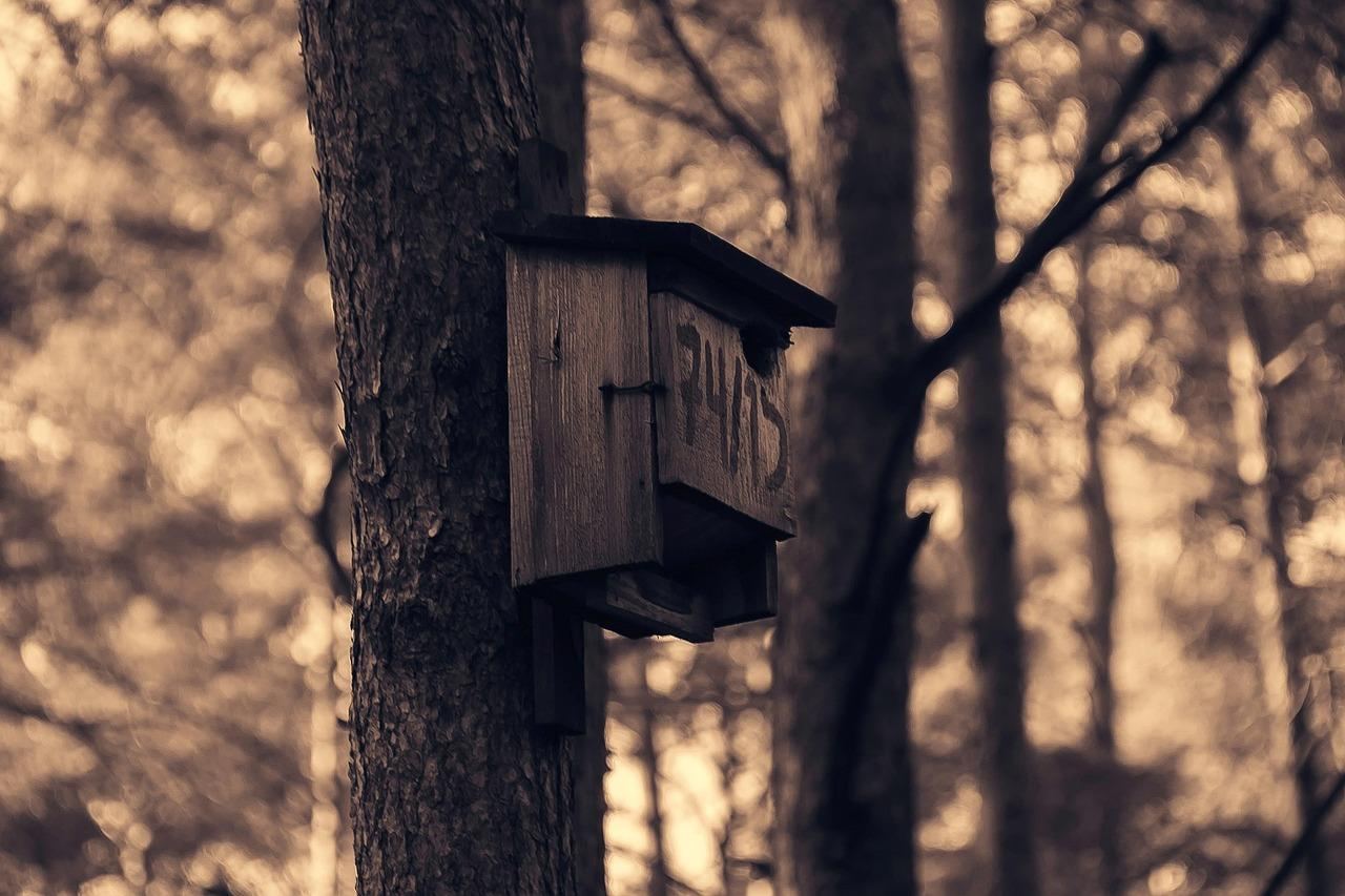 14-latek przygnieciony przez drzewo! Szokujące zdarzenie na Śląsku