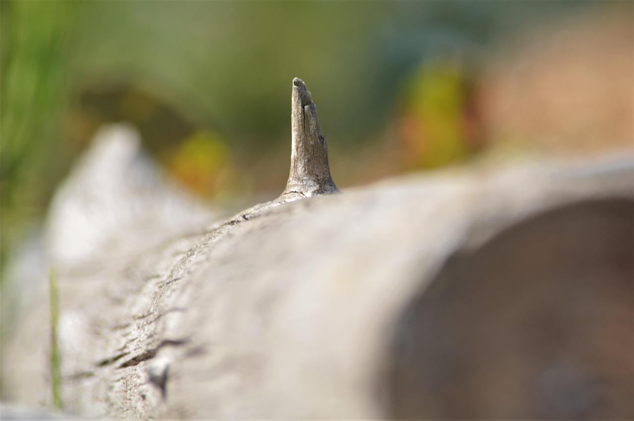 Tego nie przewidział nikt! Chińskie inwestycje w Rosji spadają na łeb na szyję