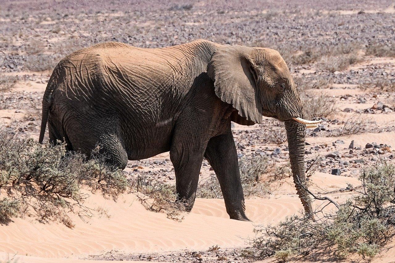 Donald w ogniu krytyki! Co takiego powiedział?