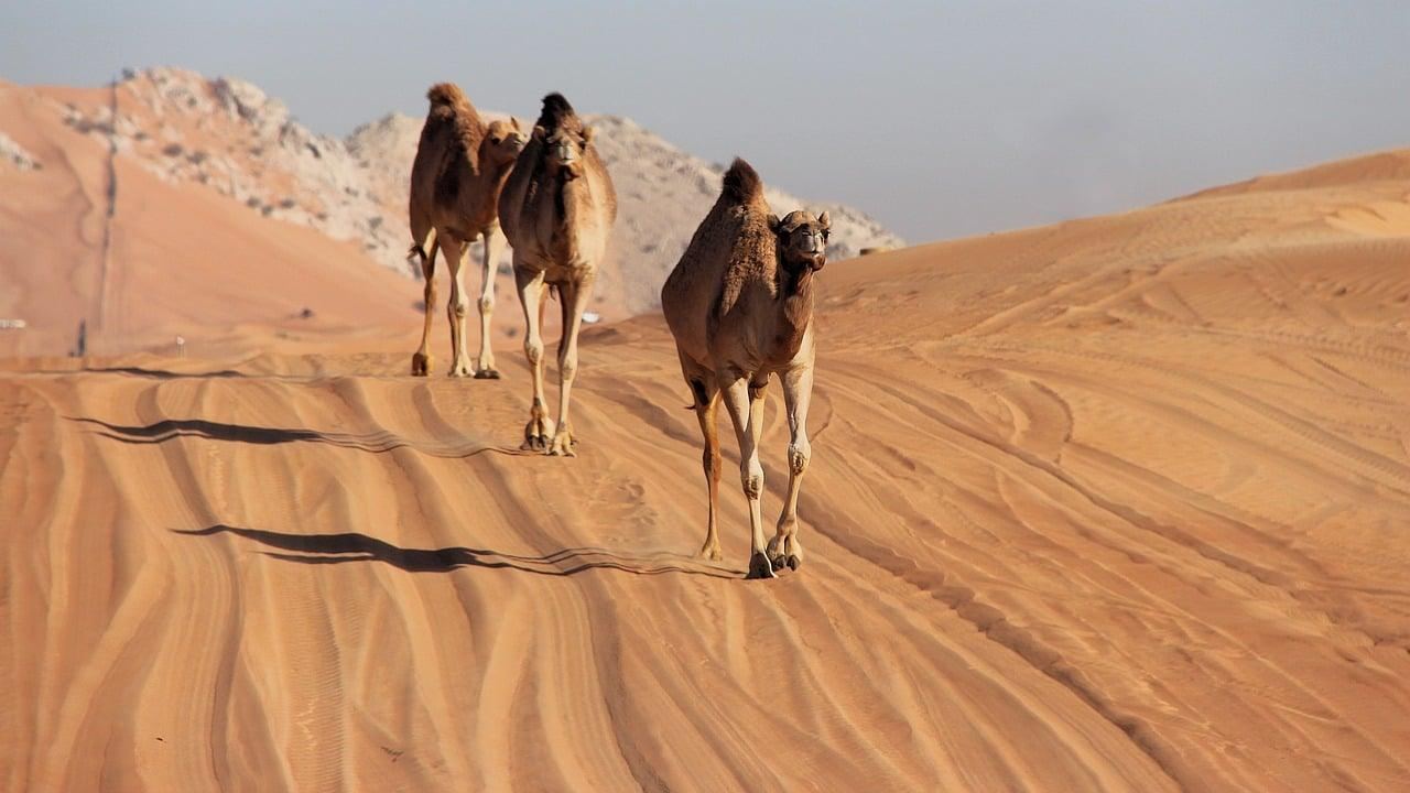 Media: SZOK! Izrael gotowy do ataku na Iran, USA wzywają obywateli do ewakuacji