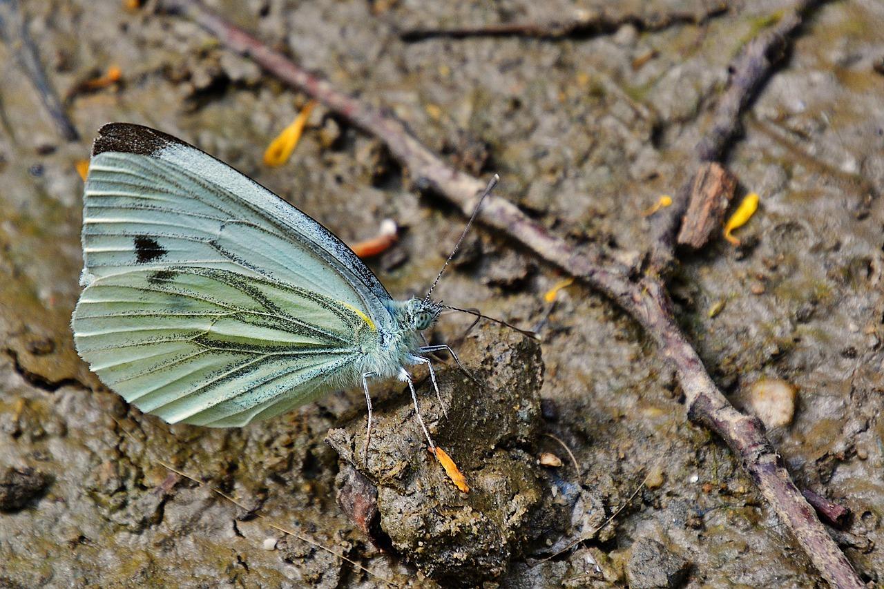 Pijany ojciec i syn wpadli w ręce policji. Sąd już wymierzył karę!