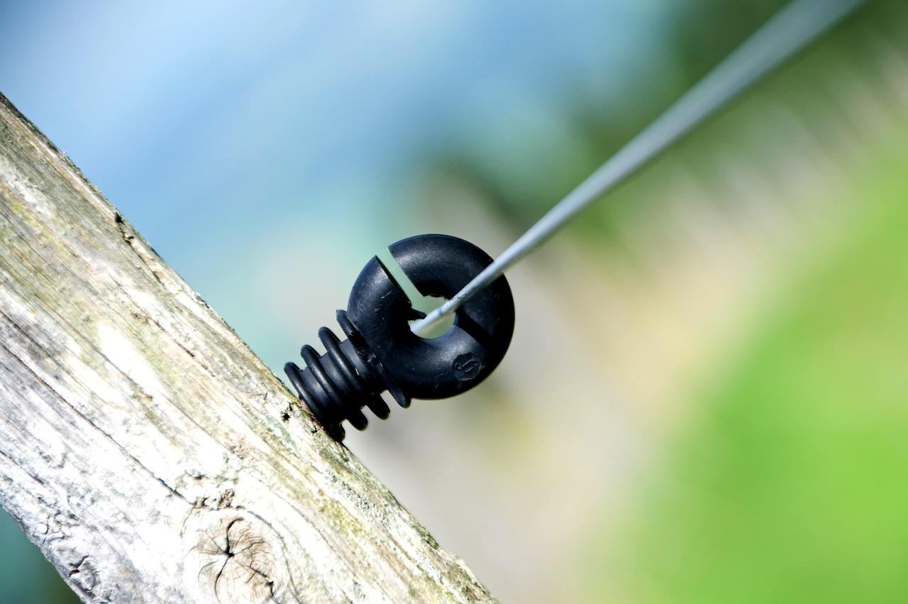 Gdzie Polacy spędzą wakacje w 2023 roku? Zaskakujące wyniki sondażu!