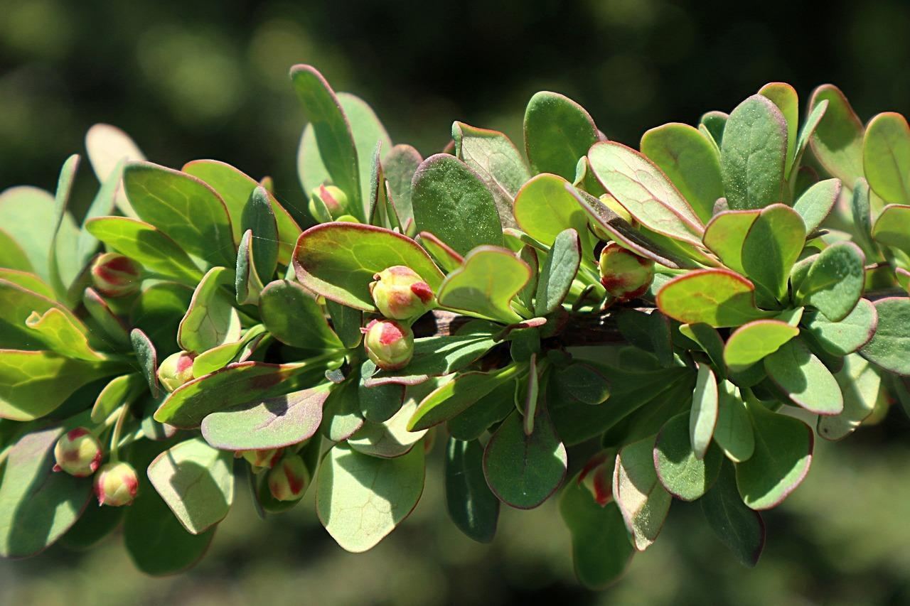 To SZOK! Rosja gromadzi siły w kluczowym regionie, co może oznaczać nową ofensywę