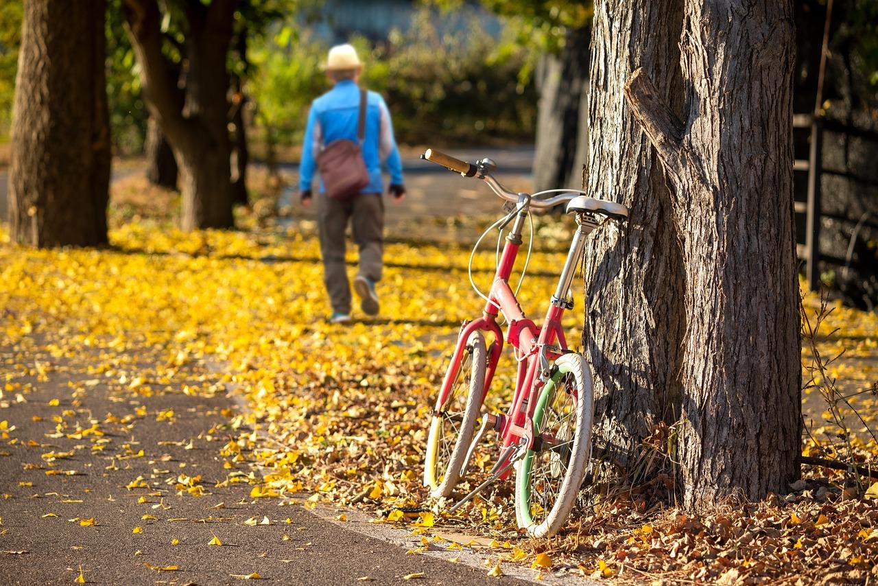 KNF SZOKUJE! Stabilizacja polityki dywidendowej banków na horyzoncie