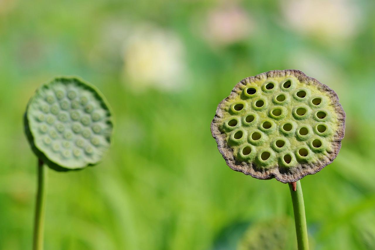 SZOK! Instruktor nauki jazdy zatrzymany z 3,7 promila alkoholu!