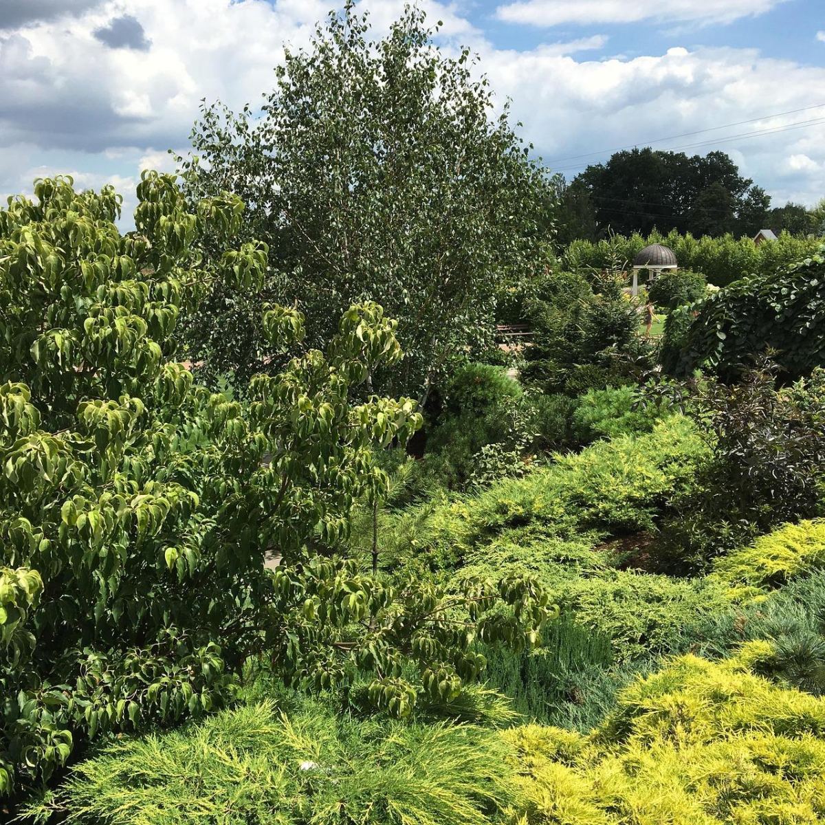 Po nadchodzących zmianach w pogodzie czeka nas upał. Sprawdź, kiedy!