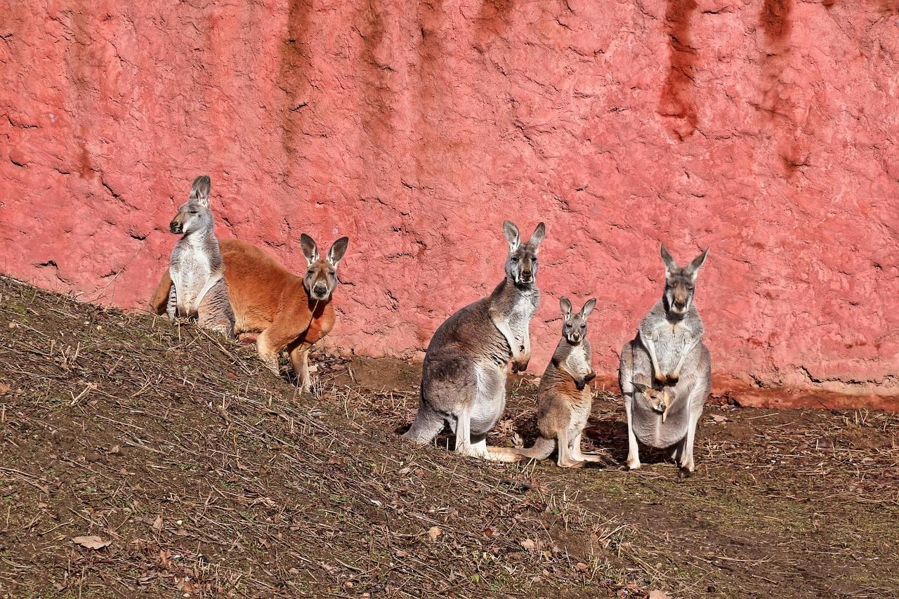 Opole: Zaskakujące prognozy pogody na nadchodzące dni!