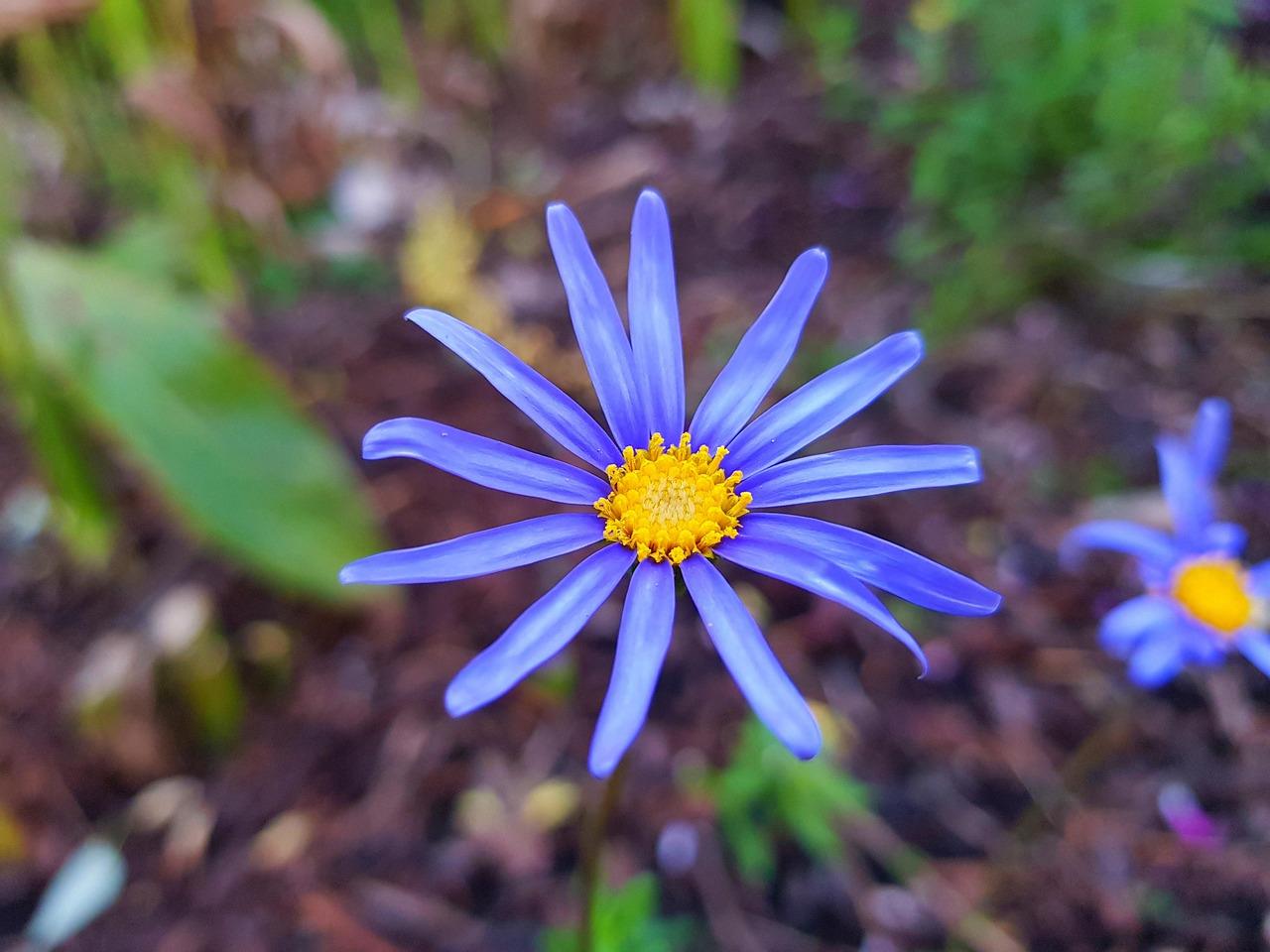 Tragiczny wypadek na S8. Zablokowana droga w kierunku Wrocławia