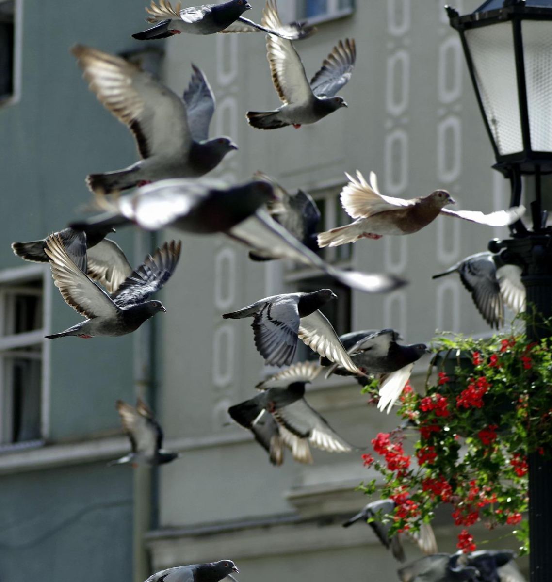 Zielona Góra – SZOK! Jakie niespodzianki przyniesie pogoda na dziś?