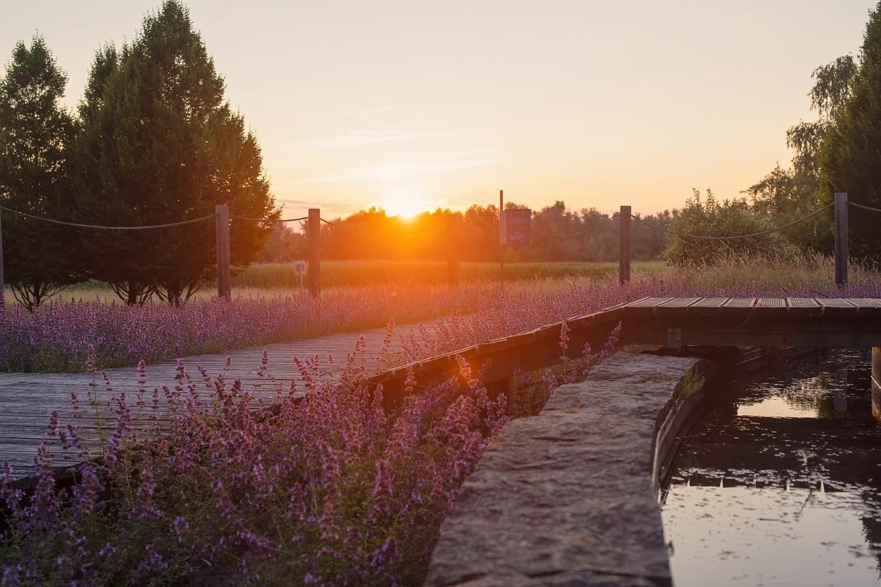 IGA SZOK! Iga Świątek MIAŻDŻY w finale Wimbledonu! NIE UWIERZYSZ!