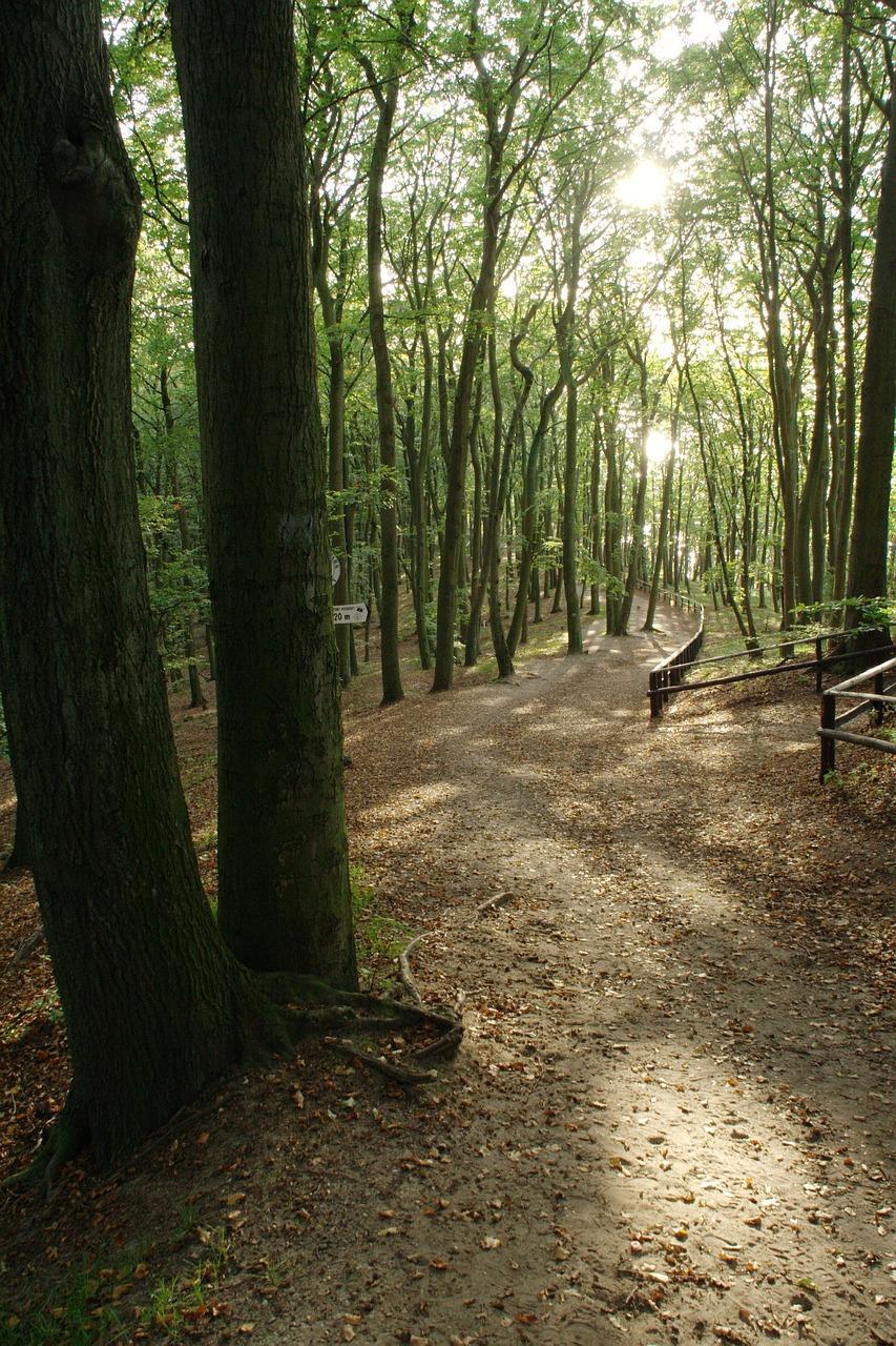 TRAGEDIA w Międzyzdrojach! Utonął Turysta – SZOKUJĄCE szczegóły UJAWNIONE!