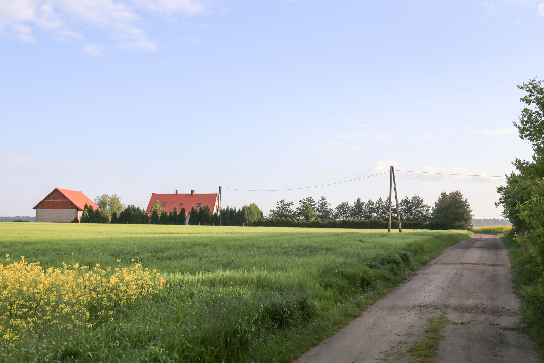 Ta Sieć Sklepów Dom i Ogród Osiągnęła Kamień Milowy 400 Punktów w Polsce!