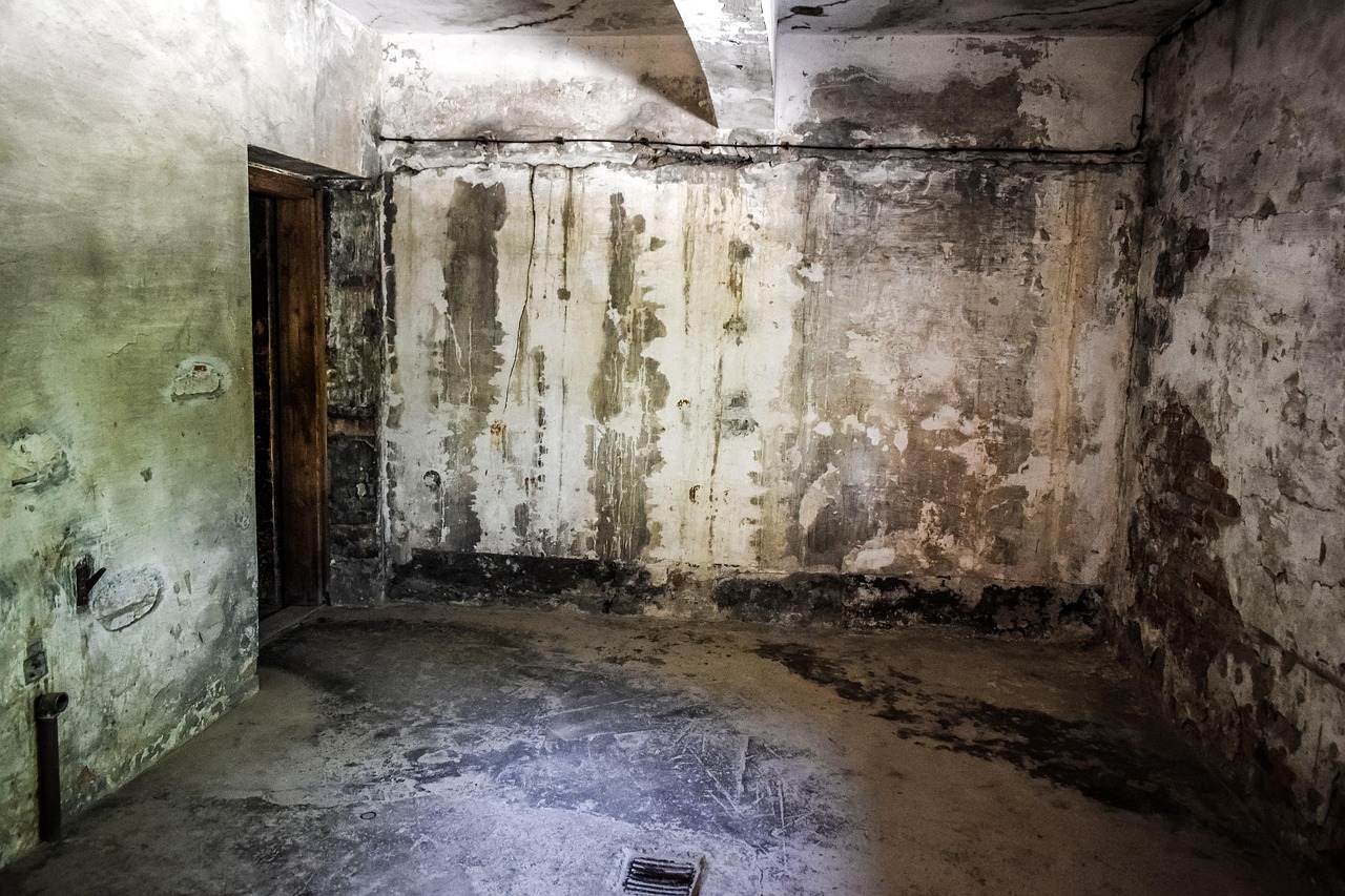 Co tak naprawdę dzieje się w Gazie? Wstrząsające relacje z pierwszej linii